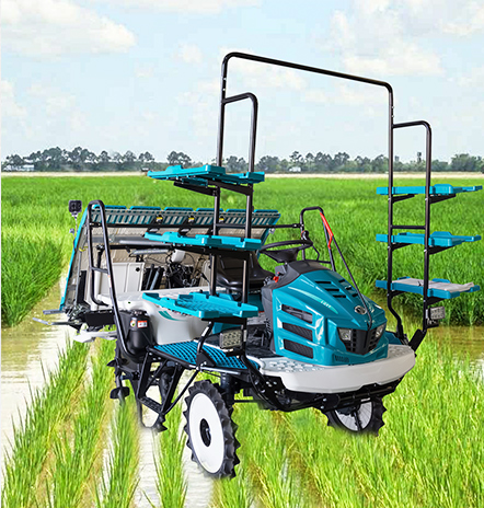 Transplanteur de riz de type équitation LIANGYI 2ZG-6D